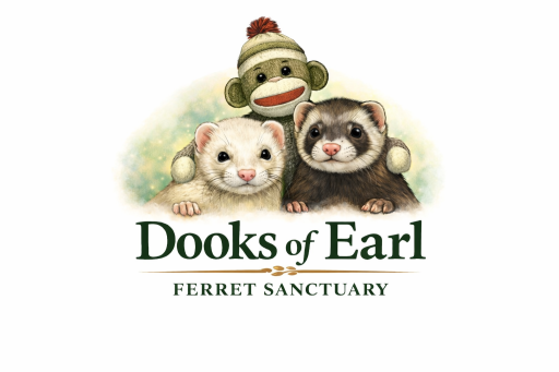 Dooks of Earl Ferret Rescue and Safe Haven